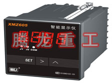溫度表、數(shù)字顯示儀、濕度表