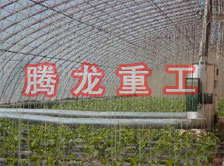 大棚花卉供暖設(shè)備、大棚卉采暖設(shè)備、大棚花卉取暖設(shè)備